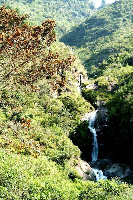 Chamanapamba